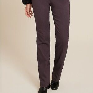 Maurices Women's Dark Purple Boot Cut Pants